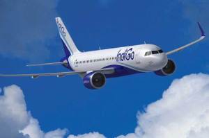 IndiGo, airbus, aircraft, carrier, airplane, flight, jets, Airbus SE A330, airline, India biggest airline, Airbus A320, industry