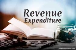 What is Revenue Expenditure?
