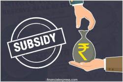 What is Subsidy?
