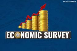 Economic Survey 2019: Allow private sector access to data base
