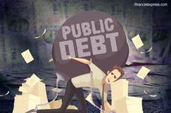 What is Public Debt?