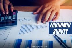 Economic survey 2020 PDF download: How to download Economic Survey 2019 Summary PDF