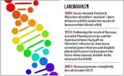 Budget 2020 a balancing act but could have done more, says India Inc
