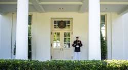 H-1B visas should be reserved only for ‘specialised talent’ to support strong economy: White House