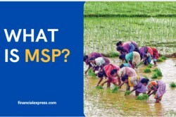 What is Minimum Support Price (MSP)?