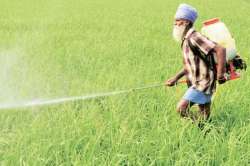 Union Budget 2021: Agriculture remains key for rural India, here’s what more can be done for farmers