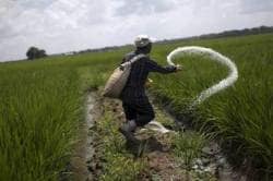 Union Budget FY22 misses the chance to reform fertiliser subsidy