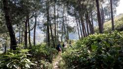 Budget 2023| 50 tourist destinations will be selected through challenge mode; What does it mean? Know here