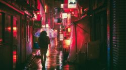 Travel & tourism sector is on the fast track to growth