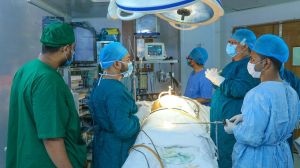 new zealand, new zealand news, world news