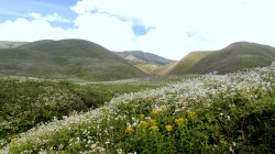 Manipur—A Gem of a Land