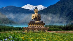 Sikkim’s Homestays—A Growing Success Story