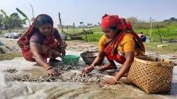 Visa pledges $100 million to enhance support for underserved and women-led micro, small businesses