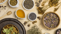 Budget expectations for the Ayurveda industry in 2024