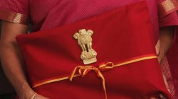 Interim Budget 2024: What is the need of an Interim Budget?