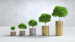 From passion to paycheck: Turning environmental advocacy into a rewarding career path