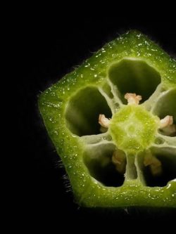 7 benefits of drinking okra water