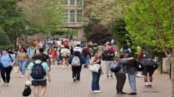 Study abroad experts are urging the Finance Minister to lower the TCS rate for student remittances