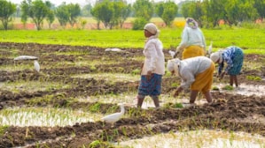 National Farmers’ Day 2024