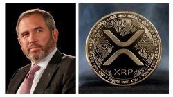 Crypto frenzy ignites as Ripple CEO claims $XRP will surpass Bitcoin with $640 trillion market cap