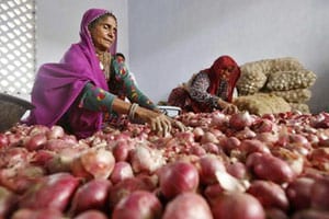 Rates of onions have been reducing in the wholesale market drastically (Reuters)