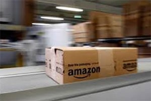 Amazon India, ecommerce