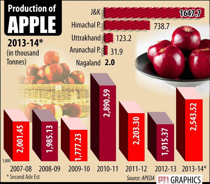 Production of Apple.