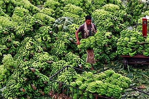 year-ender, year-ender 2014, Inflation, Inflation rate, Inflation in India