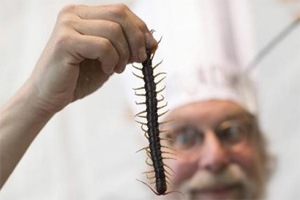 Centipede’s genome shows how life evolved on Earth Centipede’s genome shows how life evolved on Earth