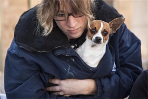 dogs, mans best friend, dogs man, dogs man friend, Oxytocin, Oxytocin dogs