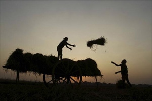 India surprised this year; may do so again in 2015: Citigroup India surprised this year; may do so again in 2015: Citigroup