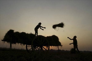 India surprised this year; may do so again in 2015: Citigroup