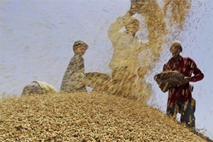 Indian economy is set for a goldilocks period used to describe a timeframe of high growth and low inflation. (AP)