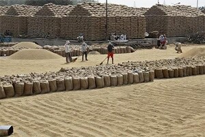Historic trade facilitation deal struck at WTO after consensus on food security