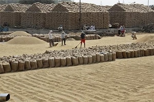 Historic trade facilitation deal struck at WTO after consensus on food security