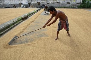 Australia welcomes TFA breakthrough at WTO, says ‘developing nations stand to receive the biggest gains’
