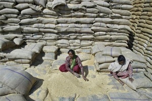 Narendra Modi wins big at WTO, trade deal set on track