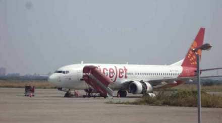 SpiceJet plane hits buffalo on runway, airline suspends Surat flights indefinitely SpiceJet plane hits buffalo on runway, airline suspends Surat flights indefinitely