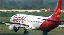 SpiceJet shares plunge over 5% as services grounded