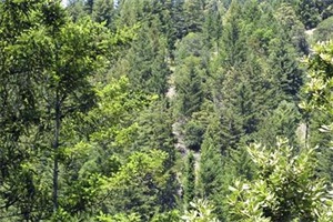 How carbon dioxide moves around the Earth! How carbon dioxide moves around the Earth!