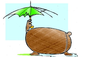 End to Bali impasse in sight at G-20 End to Bali impasse in sight at G-20