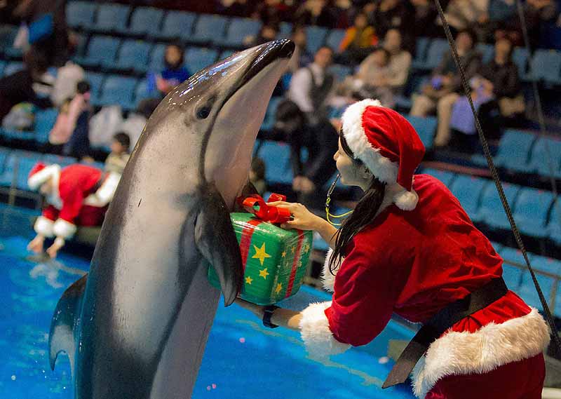 Christmas images, Merry Christmas, Christmas pictures, Christmas pics, Christmas images 2014, Christmas images India, Christmas India images, Christmas pictures 2014