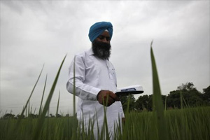 Narendra Modi, Modi farmers, Satellite crop mapping, India crop mapping