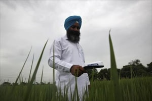 Narendra Modi, Modi farmers, Satellite crop mapping, India crop mapping
