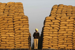 National Food Security Act, National Food Security Act recommendations, National Food Security Act news, Food Corporation of India, Food Corporation of India National Food Security Act, Food Corporation of India news