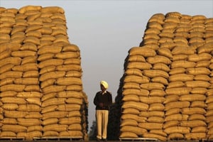 National Food Security Act, National Food Security Act recommendations, National Food Security Act news, Food Corporation of India, Food Corporation of India National Food Security Act, Food Corporation of India news