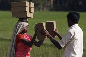  Birender Singh said release of additional funds was a committment made during the Budget for 2015-16, and added that also there was a demand from some of the states for release of funds. (Reuters)