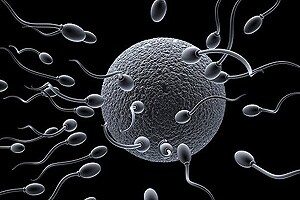 Poor semen quality linked to hypertension, heart disease