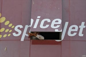 SpiceJet