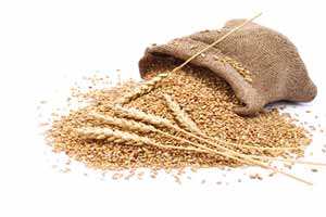 Global turmoil hurting Indian agro-exports